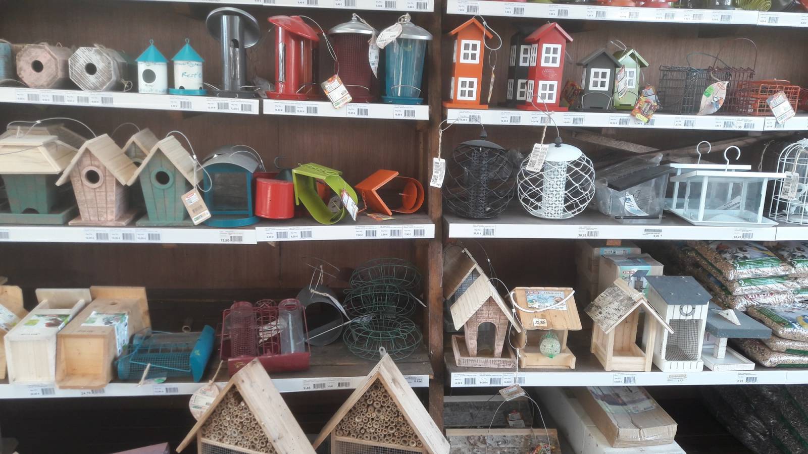 Espace oiseaux du ciel