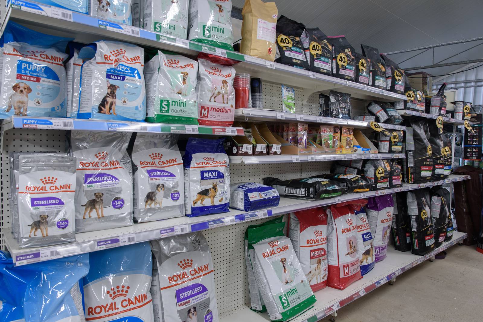 Vente de coussins et friandises pour chien et chat