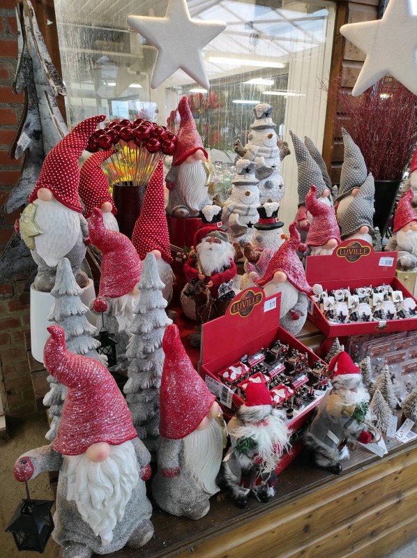 Vente de sapins Nordmann et Épicéa