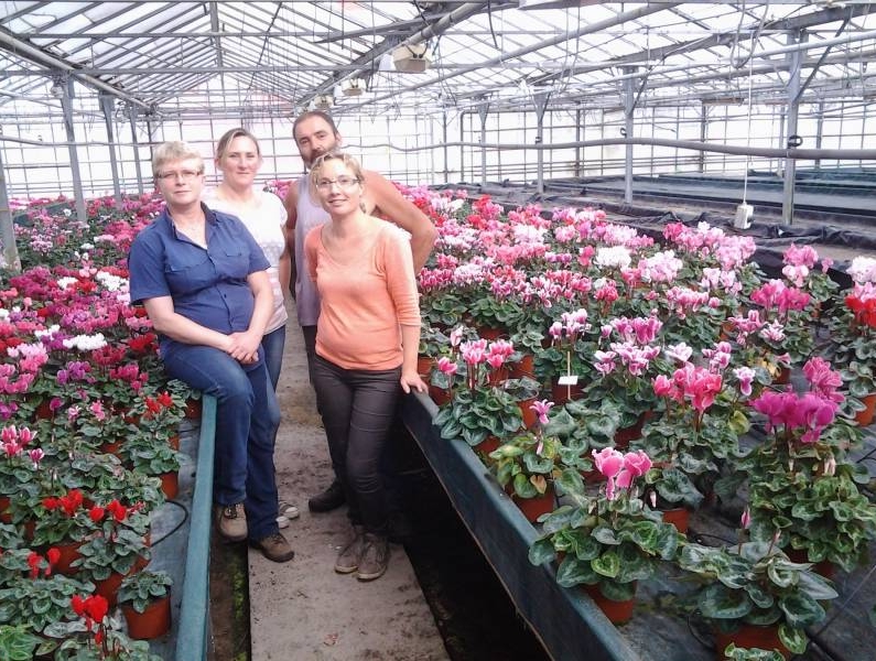 Magasin ouvert le dimanche à Fécamp