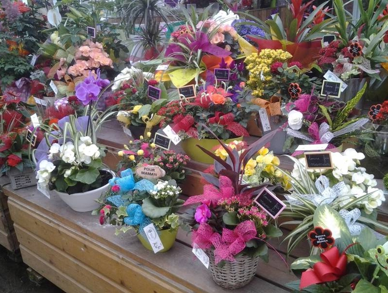 Cadeau à petit prix fête des mères Fécamp