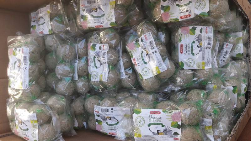 Espace oiseaux du ciel