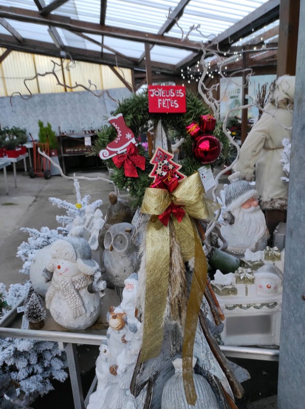 Les végétaux de Noël s'invitent dans notre serre