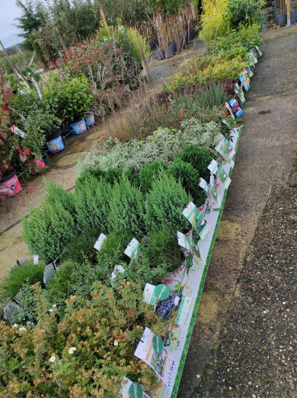 Silence, ça pousse !