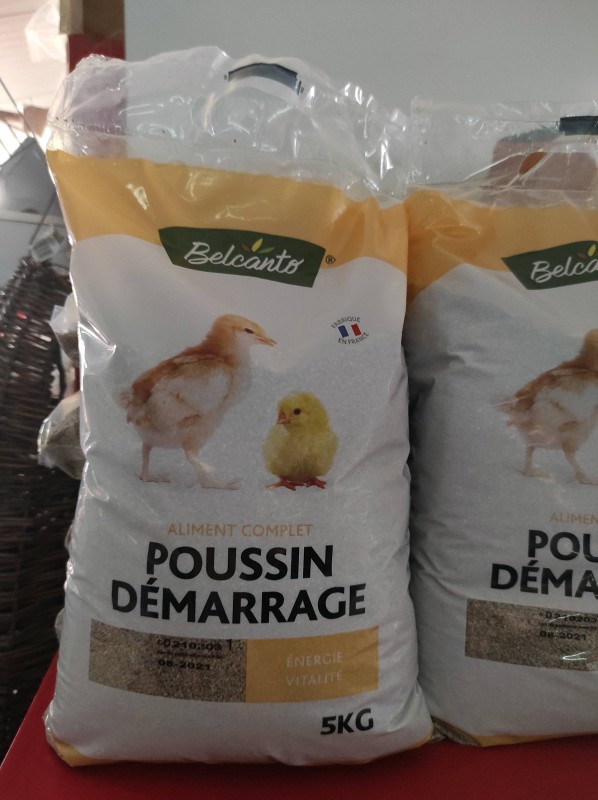 Les poules