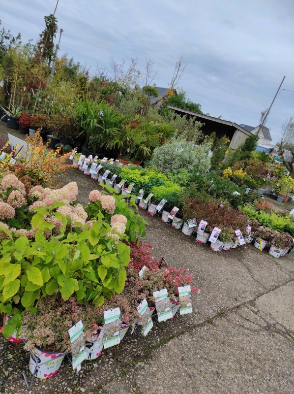 Silence, ça pousse !