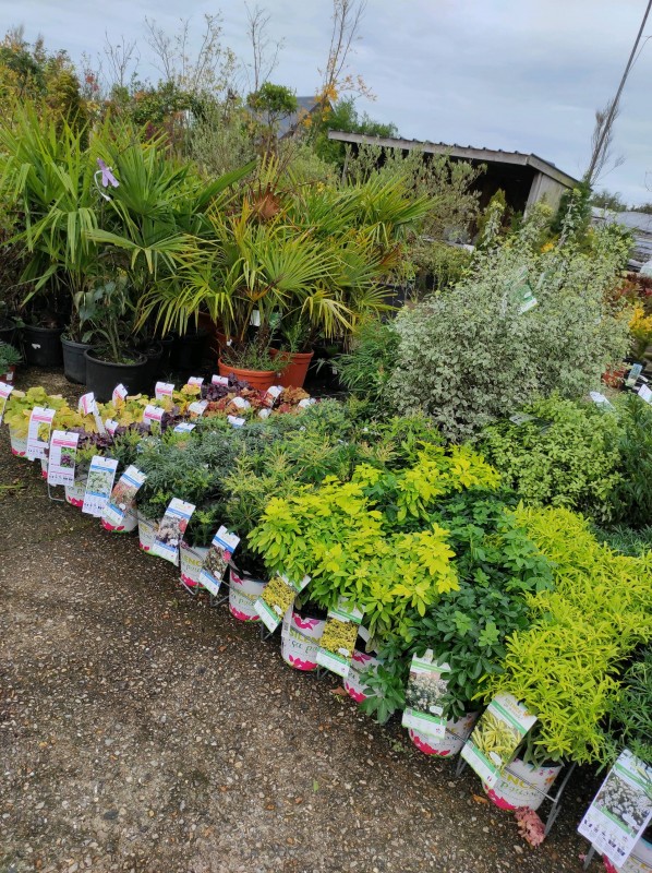 Silence, ça pousse !