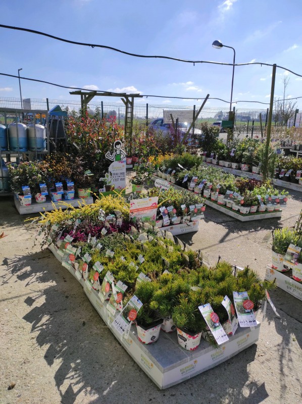 Silence ça pousse !