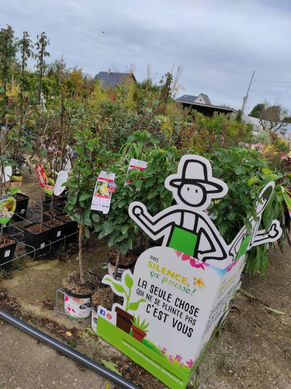 Silence, ça pousse !