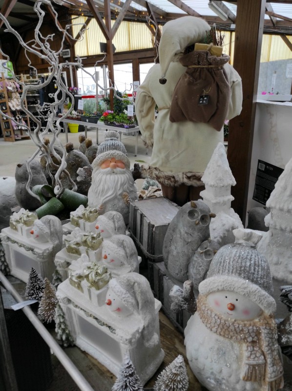 Vente de sapins Nordmann et Épicéa