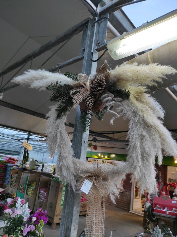 Les végétaux de Noël s'invitent dans notre serre