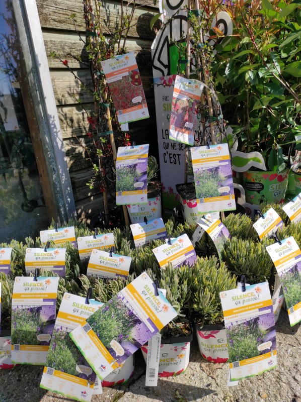 Silence ça pousse !