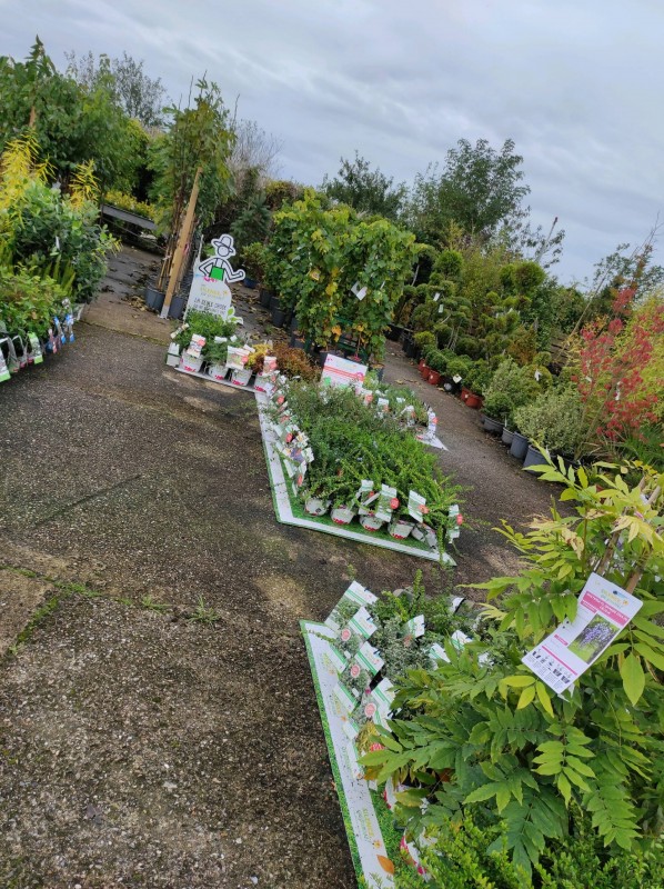 Silence, ça pousse !