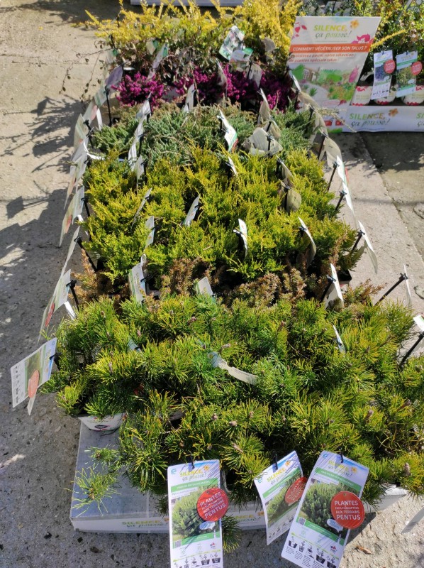 Silence ça pousse !