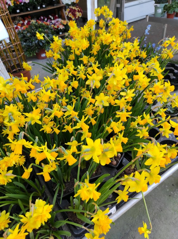 Idées cadeaux pour la fêtes des grands mères