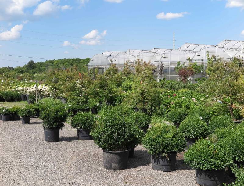 Offrir un cadeau original pour les fêtes de fin d'année dans le Pays de Caux