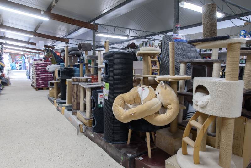 Vente de coussins et friandises pour chien et chat