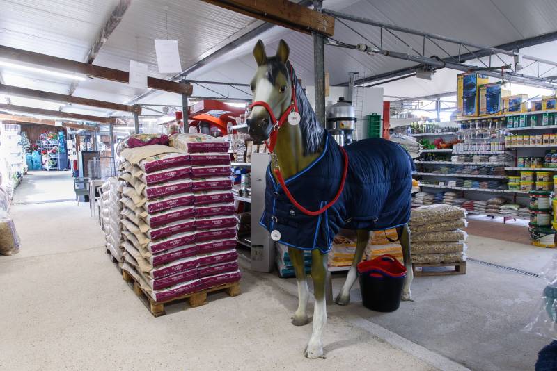 Vente de coussins et friandises pour chien et chat