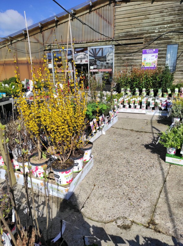 Silence ça pousse !