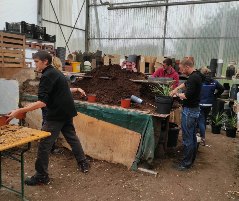 Accueil des élèves du CFPPA de Fauville en Caux dans notre serres