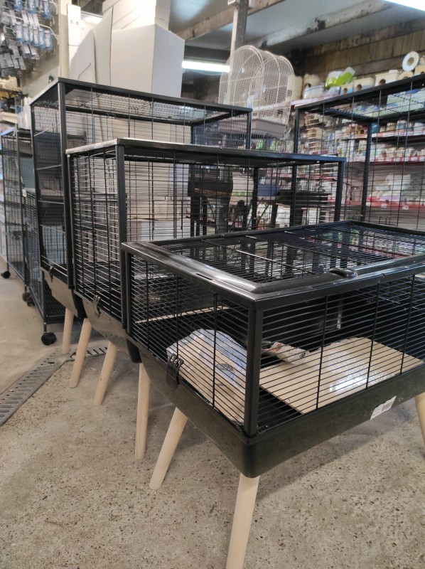 Faites le plein d'idées cadeaux pour Noël