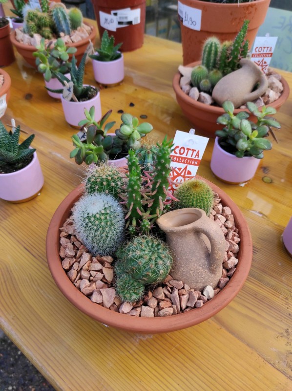 Idées cadeaux pour la fête des grands pères