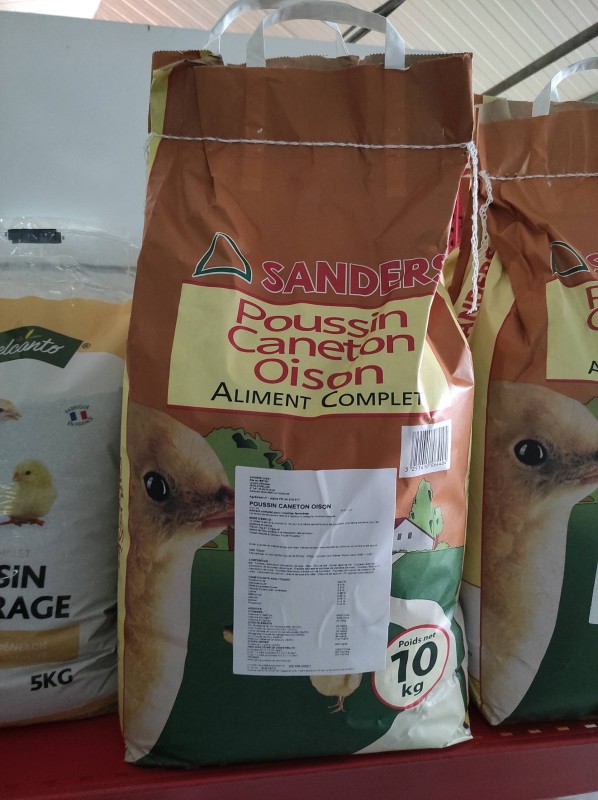 Les poules