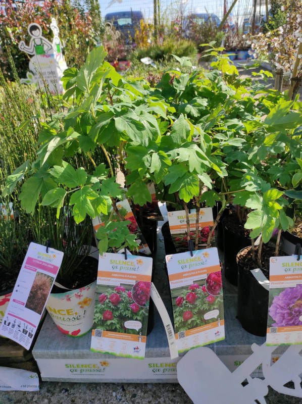 Silence ça pousse !