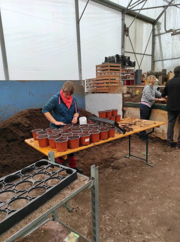Accueil des élèves du CFPPA de Fauville en Caux dans notre serres