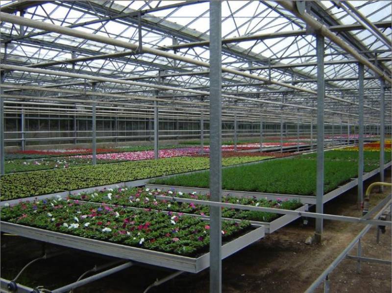 Offrir un cadeau original pour les fêtes de fin d'année dans le Pays de Caux