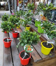 Nos prestations sur le secteur de à Fécamp 76400