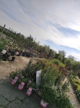 Nos prestations sur le secteur de près de Bolbec 76210