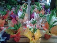 Nos prestations sur le secteur de à Fécamp 76400