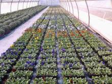 Nos prestations sur le secteur de vers Criquetot l'esneval 76280 en Seine Maritime