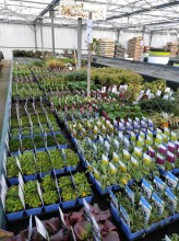 Nos prestations sur le secteur de près de Goderville 76110