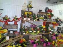 Nos prestations sur le secteur de près de Bolbec 76210