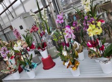 Nos prestations sur le secteur de près de Bolbec 76210