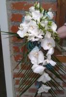 Nos prestations sur le secteur de à Etretat 76790