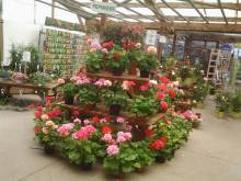 Nos prestations sur le secteur de à Fécamp 76400