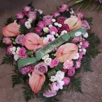 Notre zone d'activité pour ce service Jardinerie à Etretat 76790 pour trouver le matériel nécessaire pour réaliser un potager