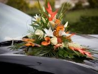 Nos prestations sur le secteur de à Etretat 76790