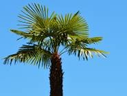 Nos prestations sur le secteur de vers Criquetot l'esneval 76280 en Seine Maritime