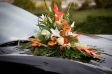 Notre zone d'activité pour ce service Acheter des poules pondeuses à Etretat 76790 à bon prix